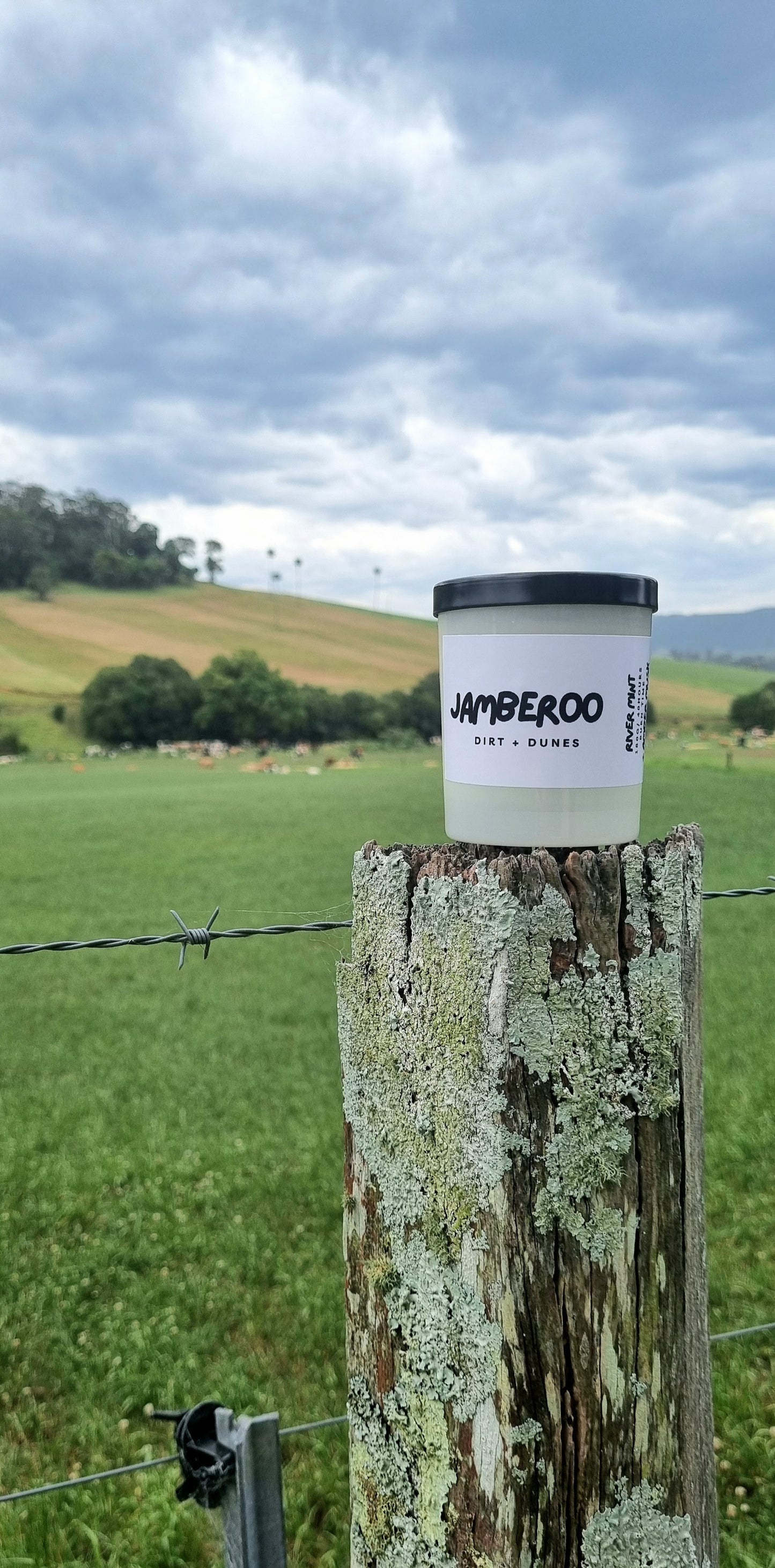 JAMBEROO - Dirt + Dunes